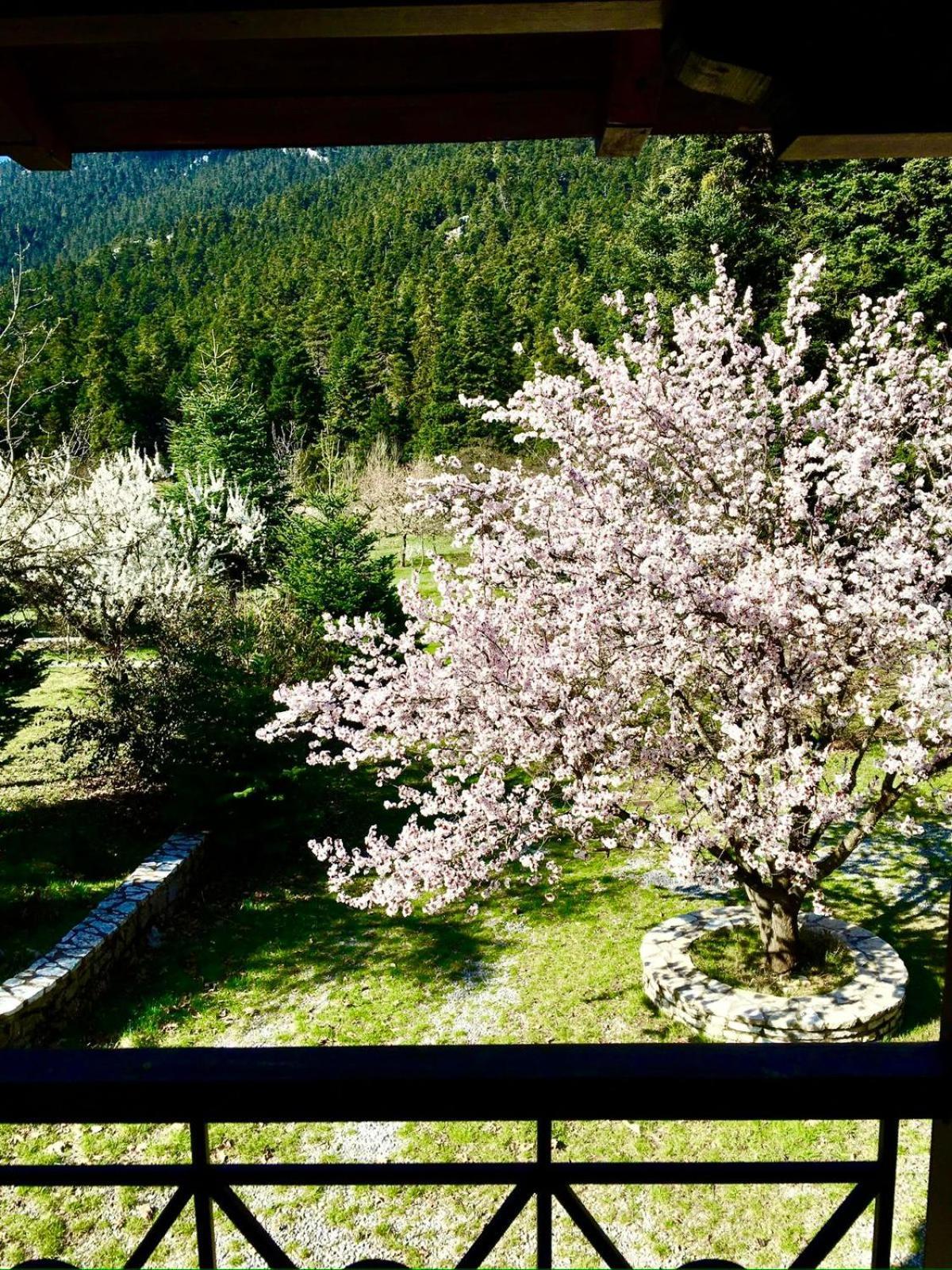 Alpine Escape Maisonette By Ski Alure Αράχωβα Εξωτερικό φωτογραφία